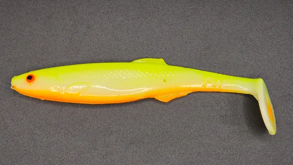 Płotka 12 cm