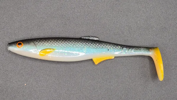 Płotka 12 cm - płoc