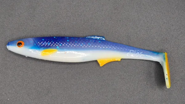 Płotka 12 cm - Police