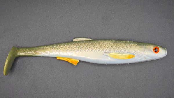 Płotka 18 cm