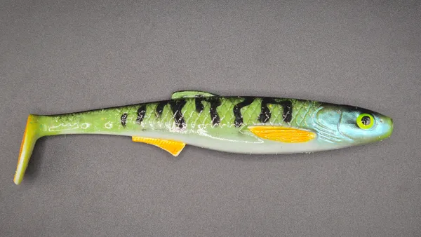 Płotka 18 cm – perch macrel