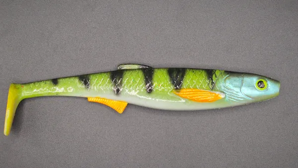 Płotka 18 cm – Perchnormal