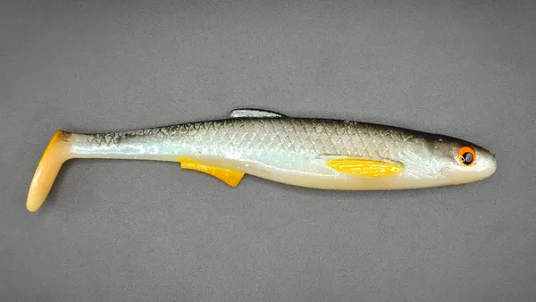 Płotka 18 cm – roach