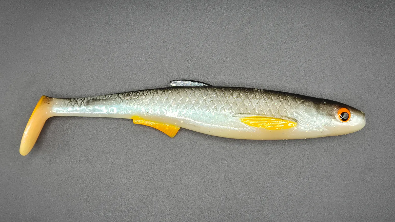 Płotka 18 cm – roach