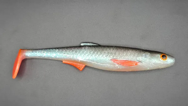 Płotka 18 cm – roachred