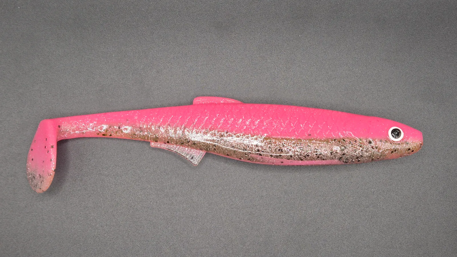 Płotka 18 cm – ZDragonfruit